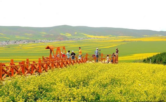 青島推動文旅項目多領(lǐng)域、多業(yè)態(tài)、多層次發(fā)展