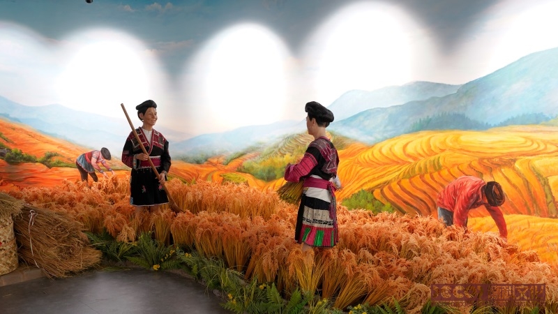 如何利用展覽廳設(shè)計(jì)來展示不同文化和宗教的藝術(shù)和文物？